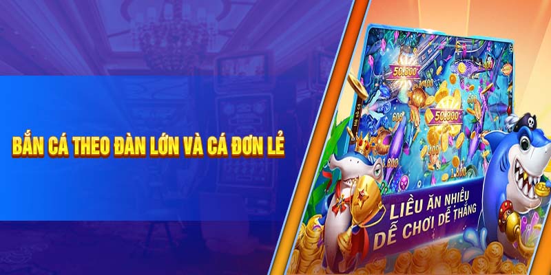 Bắn cá theo đàn lớn và cá đơn lẻ